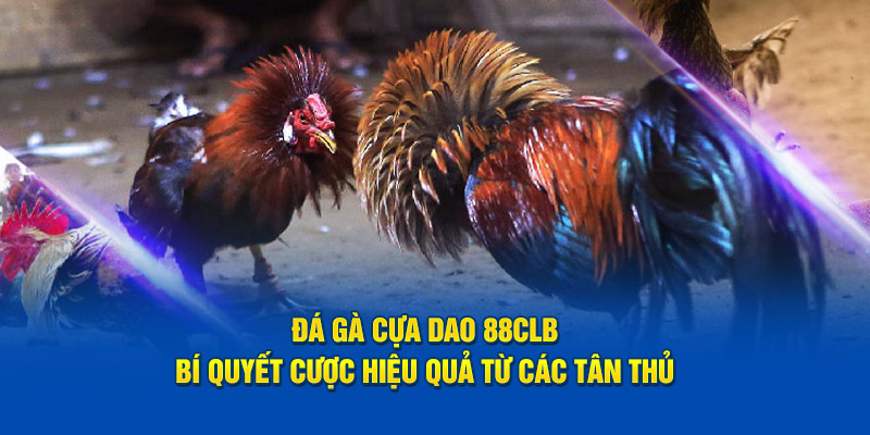 Đá Gà Cựa Dao 88CLB – Bí Quyết Cược Hiệu Quả Từ Các Tân Thủ